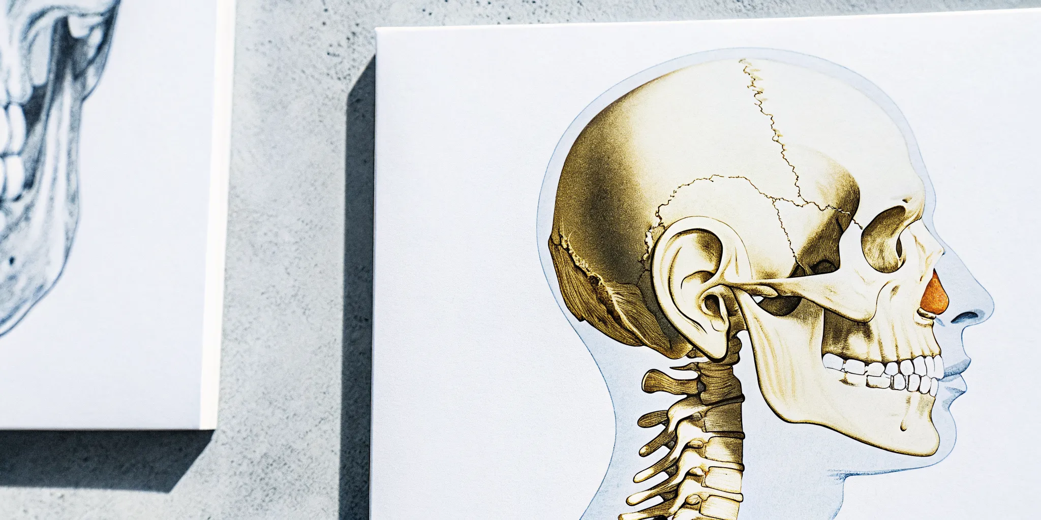 Clinical illustration of the jaw joint beside the ear